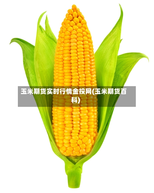 玉米期货实时行情金投网(玉米期货百科)-第2张图片