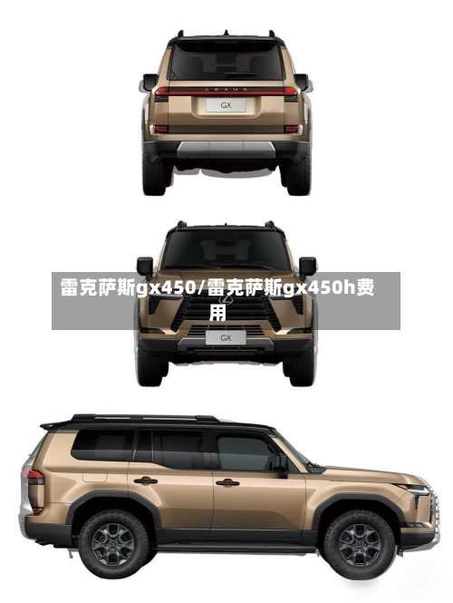 雷克萨斯gx450/雷克萨斯gx450h费用-第2张图片