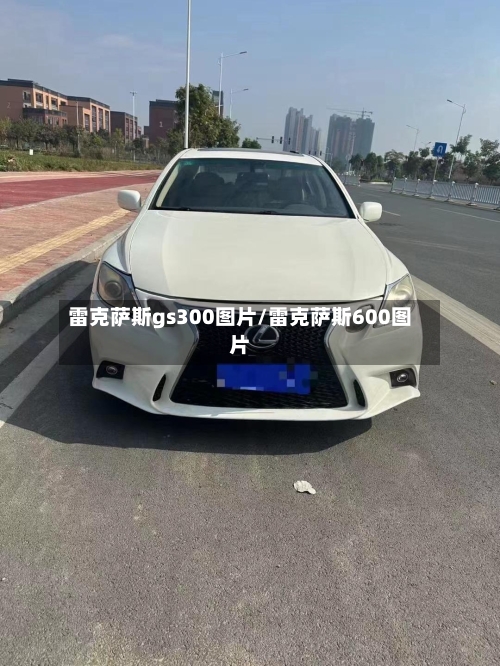 雷克萨斯gs300图片/雷克萨斯600图片-第2张图片
