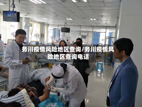 务川疫情风险地区查询/务川疫情风险地区查询电话-第2张图片