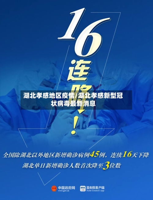 湖北孝感地区疫情/湖北孝感新型冠状病毒最新消息-第2张图片