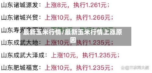 最新玉米行情/最新玉米行情上涨原因-第1张图片