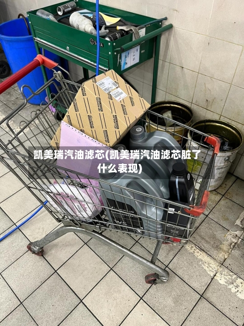 凯美瑞汽油滤芯(凯美瑞汽油滤芯脏了什么表现)-第1张图片