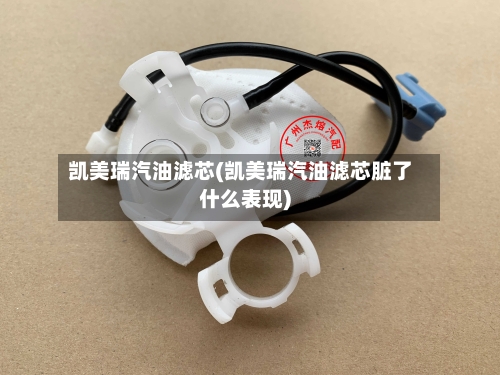 凯美瑞汽油滤芯(凯美瑞汽油滤芯脏了什么表现)-第3张图片