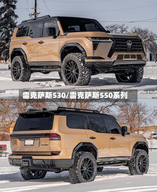 雷克萨斯530/雷克萨斯550系列-第1张图片
