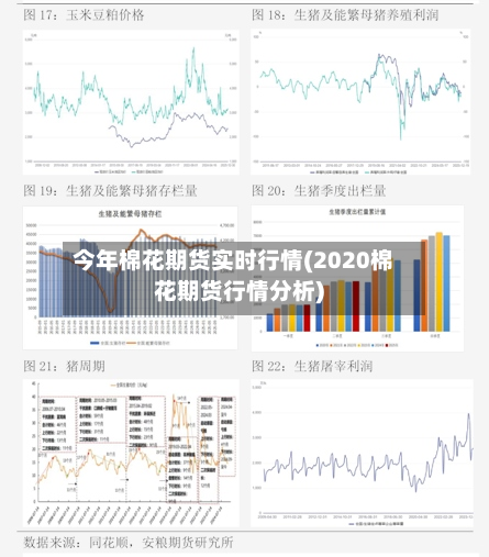 今年棉花期货实时行情(2020棉花期货行情分析)-第3张图片