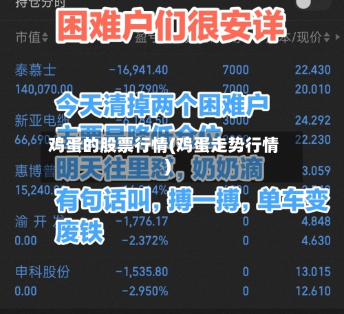 鸡蛋的股票行情(鸡蛋走势行情)-第1张图片