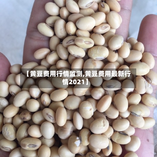【黄豆费用行情监测,黄豆费用最新行情2021】-第3张图片