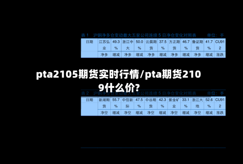 pta2105期货实时行情/pta期货2109什么价?-第2张图片