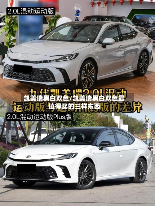 凯美瑞黑白双色/凯美瑞黑白双色最值得买的三样东西-第2张图片