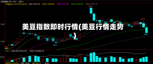 美豆指数即时行情(美豆行情走势)-第1张图片