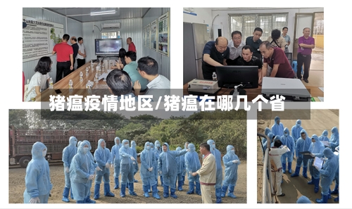 猪瘟疫情地区/猪瘟在哪几个省-第1张图片