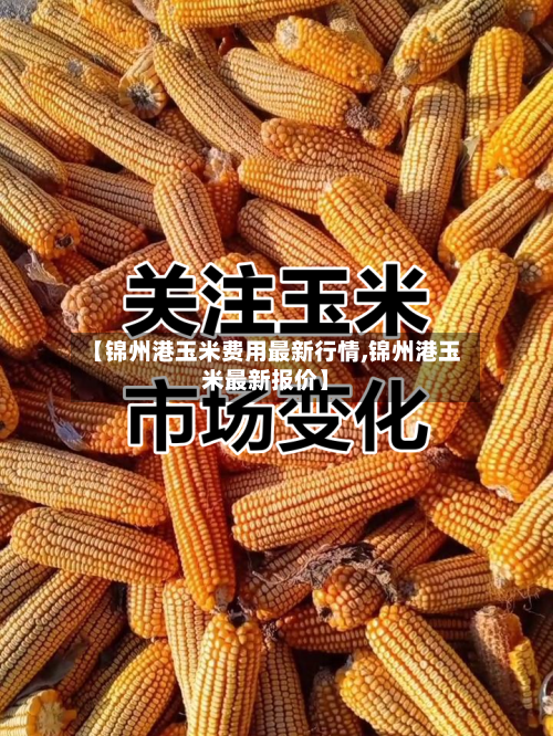 【锦州港玉米费用最新行情,锦州港玉米最新报价】-第1张图片