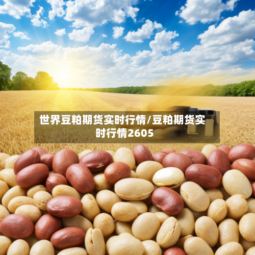 世界豆粕期货实时行情/豆粕期货实时行情2605-第2张图片