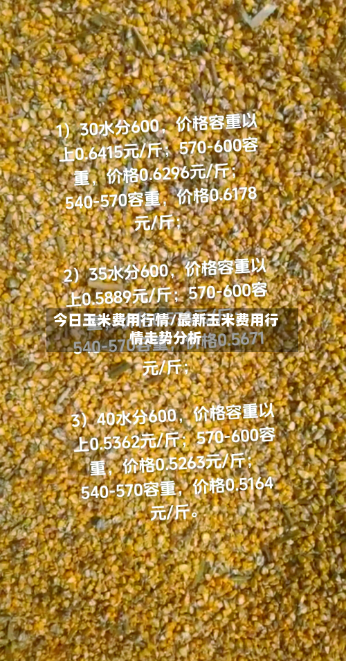 今日玉米费用行情/最新玉米费用行情走势分析-第1张图片