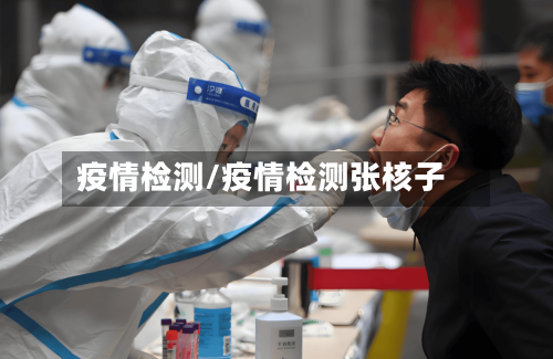 疫情检测/疫情检测张核子-第1张图片