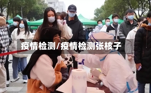 疫情检测/疫情检测张核子-第3张图片