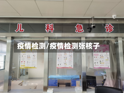 疫情检测/疫情检测张核子-第2张图片