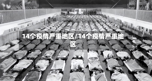 14个疫情严重地区/14个疫情严重地区-第1张图片