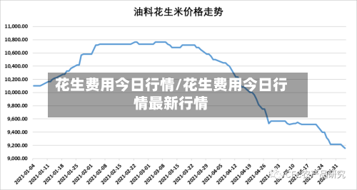 花生费用今日行情/花生费用今日行情最新行情-第1张图片