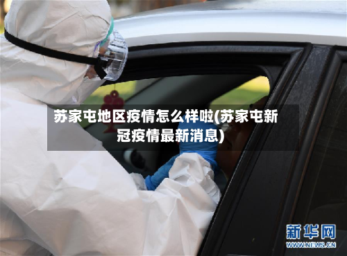 苏家屯地区疫情怎么样啦(苏家屯新冠疫情最新消息)-第2张图片