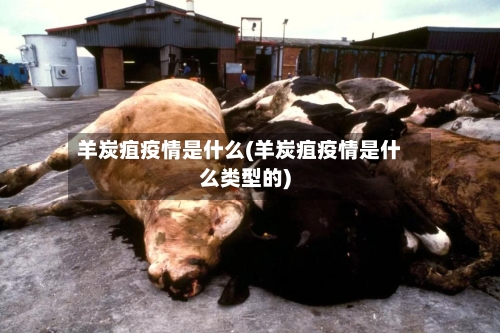 羊炭疽疫情是什么(羊炭疽疫情是什么类型的)-第1张图片