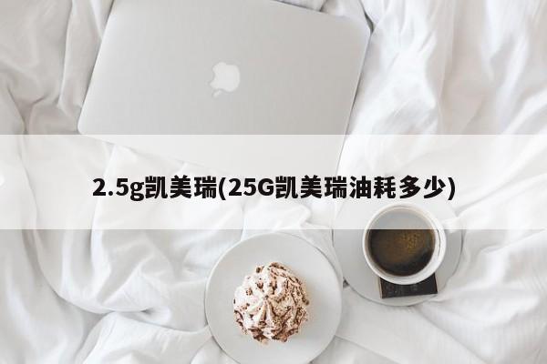 2.5g凯美瑞(25G凯美瑞油耗多少)